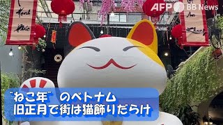 「ねこ年」のベトナム 旧正月で街は猫飾りだらけ（2023年1月撮影）