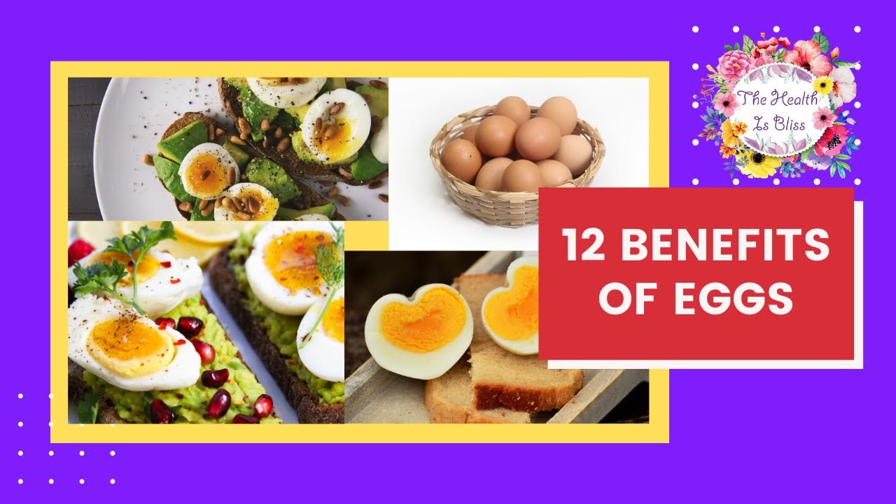 12 Benefits Of Eggs || Egg Benefits For Health - YouTube