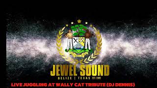 JEWEL SOUND LIVE JUGGLING AT WALLY CAT TRIBUTE IN BELIZE (DJ DENNIS)