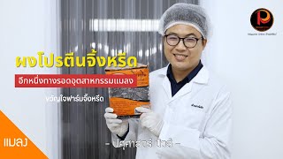 ผงโปรตีนจิ้งหรีด เทรนด์อาหารมาแรง สำหรับมนุษย์และสัตว์เลี้ยง | ปศุศาสตร์ นิวส์