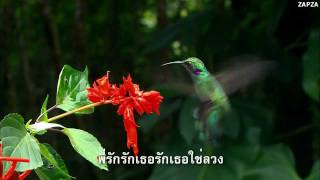 บัวน้อยคอยรัก-แกรนด์เอ็กซ์ HD-Lyrics