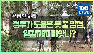 [TJB뉴스]수백억 도시숲사업… \