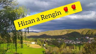 Hizan a Rengîn 🌹