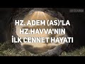 hz. adem as peygamber in İbretlik hayatı peygamber hayatları