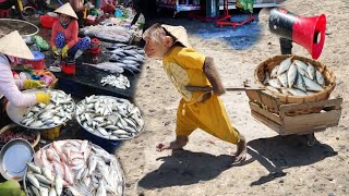 Cutis Farmer Rickshaw Harvest Fish For Peddling In The Market