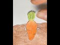 stop motion 紅蘿蔔的成長日記🥕