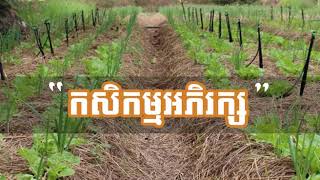 កសិកម្មអភិរក្ស