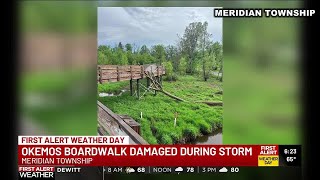 Fallen tree forces closure of Okemos Road boardwalk