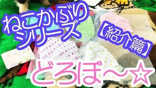 【はなポメ】ねこ泥棒シリーズ全5種コンプしたので紹介していくポメラニアン（紹介篇）【#127】