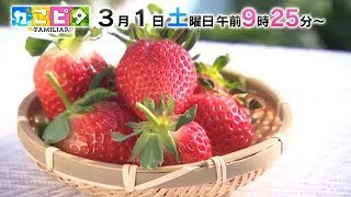 3/1(土)かごピタFAMILIAR☆上妻ちゃんがいちき串木野市へ！