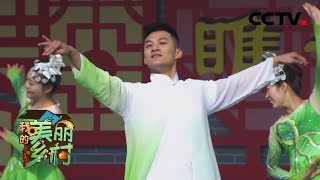 《我的美丽乡村》走进江苏睢宁：看千年文化碰撞现代风情 20200103 | CCTV农业