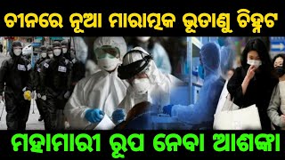 Who ର ବଡ ଚେତାବନୀ, କରୋନା ପରେ ଚୀନ୍ ରୁ ଆସୁଚି ଆଉ ଏକ ଭୟଙ୍କର ଭୁତାଣୁ, ମହାମାରୀ ରୂପ ନେବା ଆଶଙ୍କା