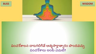 పంచకోశాలు అంటే ఏమిటి? వాటిగురించి కొన్ని విశేషాలు తెలుసుకుందాం