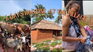 A DAY'S ROUTINE  AT OUR FAMILY FARM HOME | Vlog