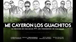 Los Poderosos De Culiacan x La Edicion De Culiacan - Me Cayeron Los Guachitos (Audio Oficial)