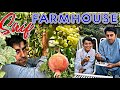 My Farmhouse Tour In Pakistan 🇵🇰 | Saif khan Dubai vlogs