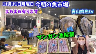 【マンガン漁解禁】【水揚げ情報】今朝の魚市場11月11日月曜日の水揚げ状況