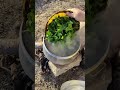 آش رشته درطبیعت soup in the nature of vegetable soup آشپزی طبیعت آرامش