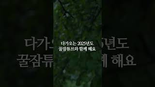 2024년 수고 많으셨습니다