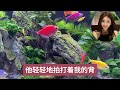 少女口述 江湖李白 x調查 wayne調查 情感共鳴 情感故事 為人處世 講故事 日常生活 情感 深夜聽故事 家庭故事