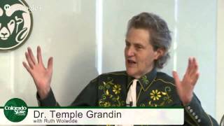 #AskTemple: A Live Google Hangout with CSU's Temple Grandin