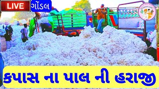 kapas na bajar bhav 31/07/2023 cotton crop price Gondal market yard na bhav ગોંડલ માર્કેટિંગ યાર્ડ