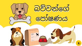 බව්වන්ගේ පෝෂණය (Dog Nutrition)