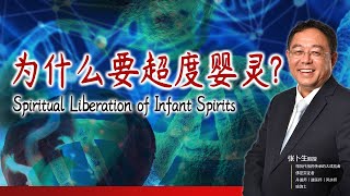 为什么要超度婴灵 Spirit Liberation of Infant Spirits (Bilingual Subtitles) 张卜生教授