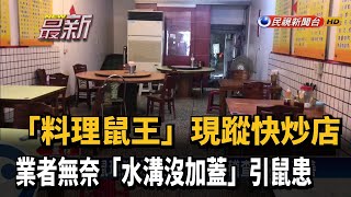 快炒店料理鼠王! 民眾驚見2隻肥鼠廚房內跑跳－民視新聞