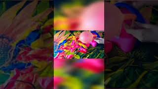 Multicolor  Balloon poping  ASMR 12 | BalloonCraving #shorts #youtubeshorts #satisfyingsounds