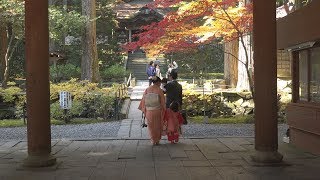 2017/11/03　美しき紅葉の光前寺・駒ヶ根市