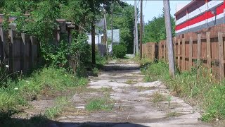 Toledo neighborhood alleyway cleaned up after overgrown with weeds