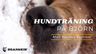 Hundträning på Björn med Rasmus Boström