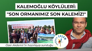 Kalemoğlu köylüleri: Son ormanımız son kalemiz! | Çepeçevre Yaşam