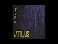 ulf söderberg – nattljus ningals tempelgårdar frostblommor det vakande tinget i nordväst 1995