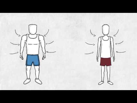 Are biceps fast or slow twitch?