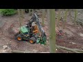 Mecalac 15MWR in de bosbouw: bomen rooien