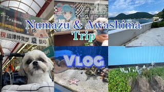 【犬と行く】沼津&淡島ホテルTrip Vlog【沼津】