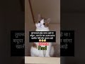 पटकन सांगा🤔😜🤣#mrs#snehapatil #trending#shorts#daily#cat #catlover#viralcomedy#funny #viralshorts#vir