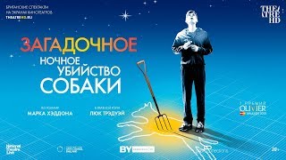 «ЗАГАДОЧНОЕ НОЧНОЕ УБИЙСТВО СОБАКИ». Королевский Национальный театр