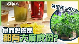 由食物到護膚品都有大麻成份？甚麼是大麻二酚CBD？　 #一線搜查 #大麻