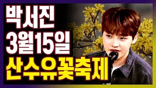 박서진 3월 행사 일정!  (3.15) 구례 산수유꽃축제  #박서진 #박서진스케줄 #박서진행사