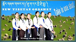 New Tibetan Gorshey: Shuga Dhargyi Zilu # སྒོར་གཞས་གསར་པ་། ༼ཞུ་ག་དར་གྱི་རྫི་གླུ༽