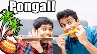 Our PONGAL CELEBRATION in CANADA! 🥳😍 | VelBros Tamil