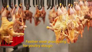 Feather processing with ISS AGRI Facility