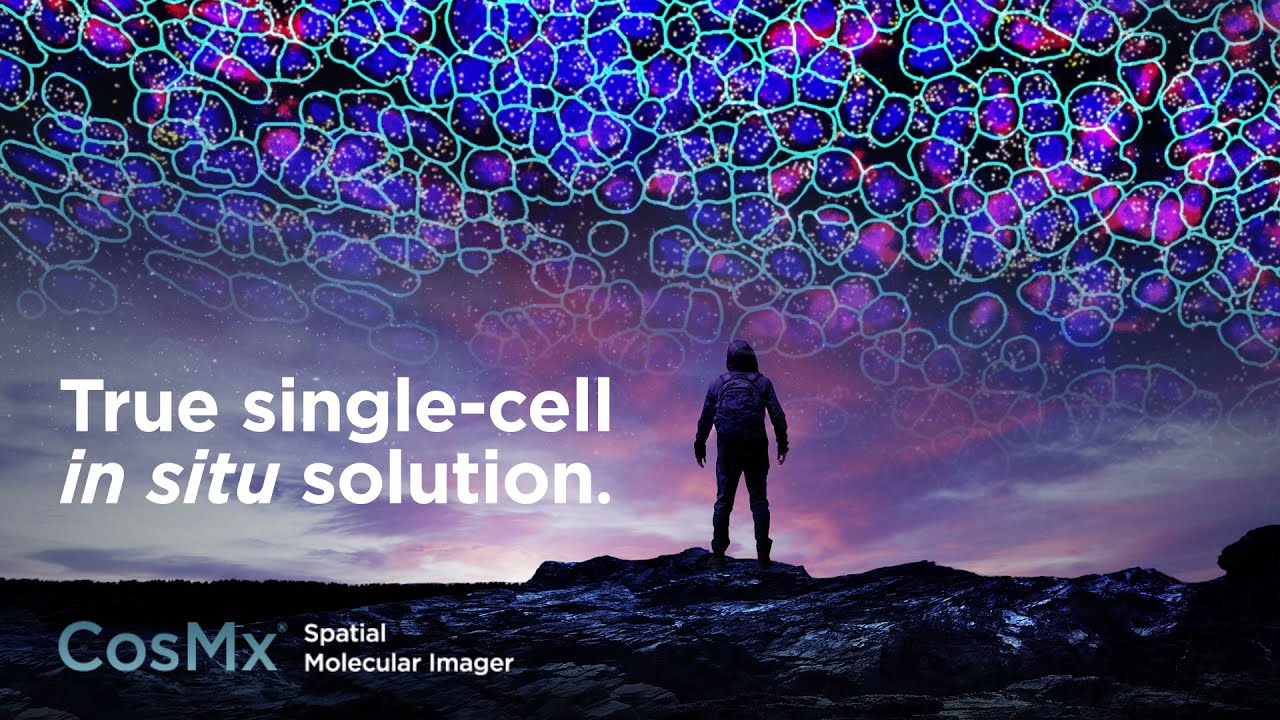 Introducing Single Cell Imaging With CosMx Spatial Molecular Imager ...