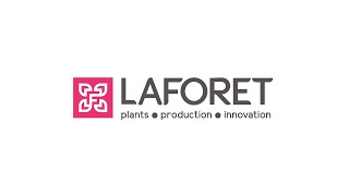 PEPINIERES LAFORET : producteurs de jeunes plants en alvéoles