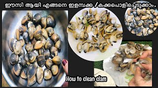 How to clean clam||എളമ്പക്ക /കക്ക എങ്ങനെ ഈസി ആയി എടുക്കാം||#elambakka#clam#kitchentips#kakka