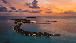 Cocoon Maldives | Official Video