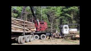 Advancing Aroostook Forestry